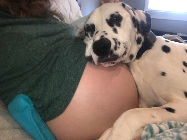 I got pregnant 2024 by my dog