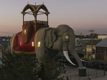airbnb jersey shore elephant lucy
