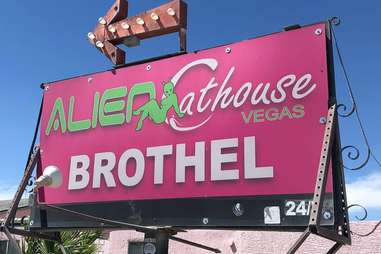 The Alien Cathouse