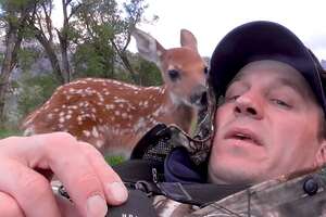 Guy Becomes An Injured Baby Deer's Dad