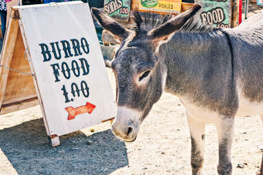 Oatman