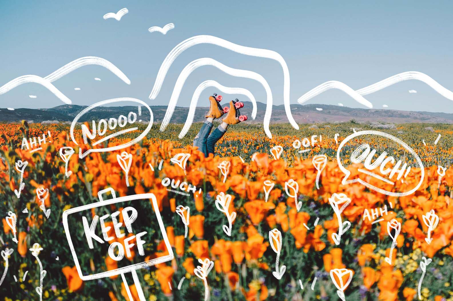 Antelope Valley Poppy Reserve Best Time to Visit & What Trails to Hit