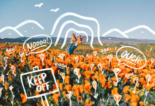 It’s Bloom Time For America’s Most Spectacular Wildflowers. Please Don’t Ruin It!