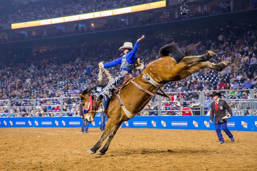 Alternative Bags Ideal For Stadium Rodeo Season - Cowboys and