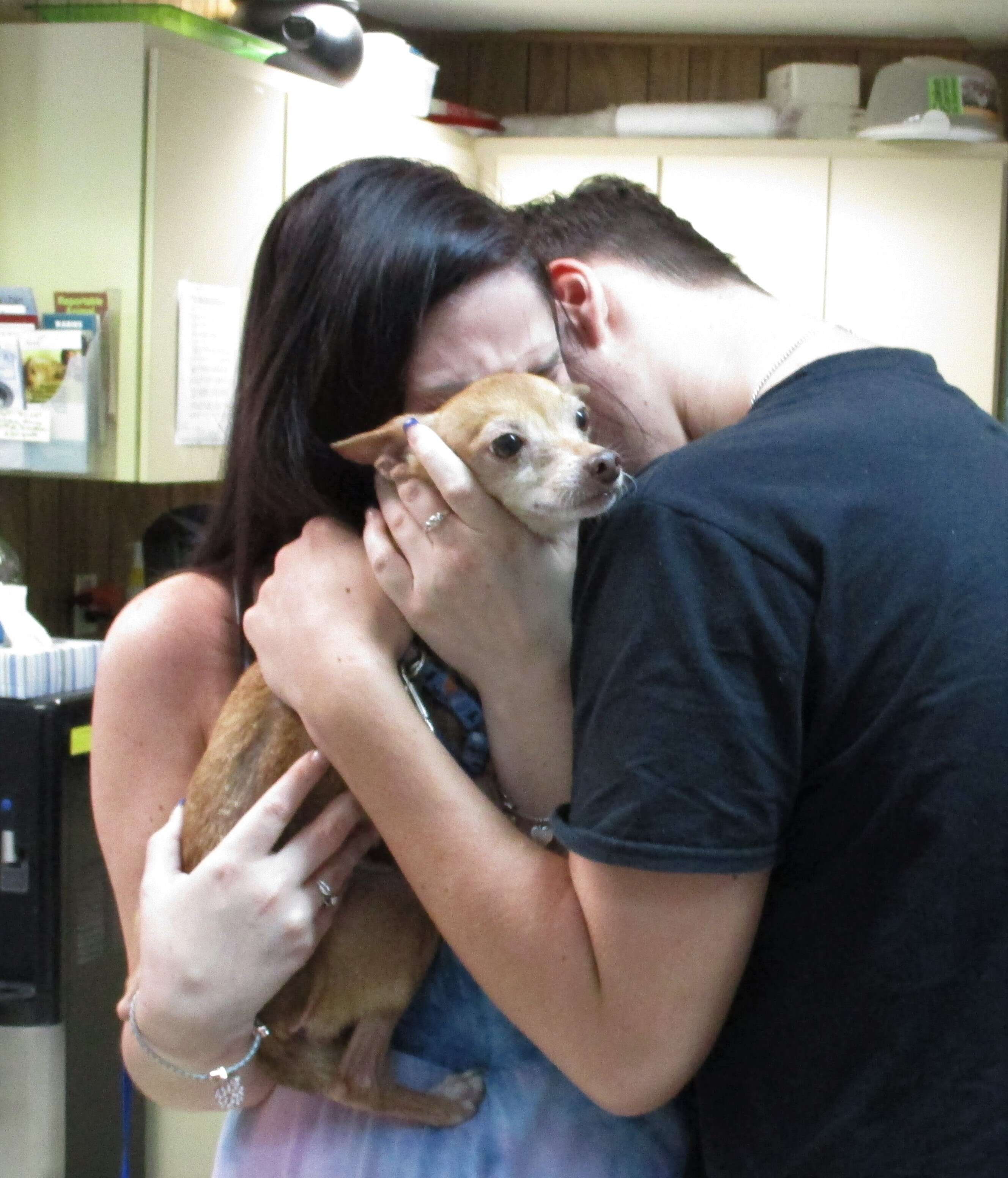 Dog reunites with his owners after six years
