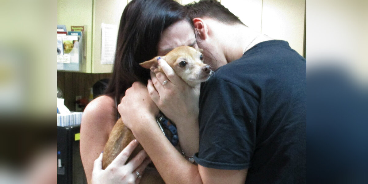 Dog Reunited With His Family After 6 Years Can't Stop Wagging His Tail