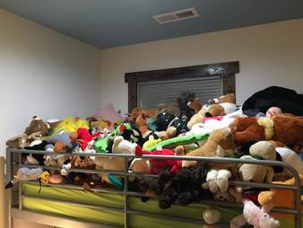 Cat hides in toys on a bed