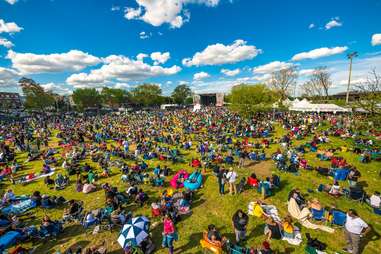 The National Cannabis Festival