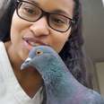 This Woman's Baby Is A Rescue Pigeon