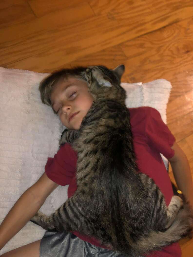 cat hugs boy