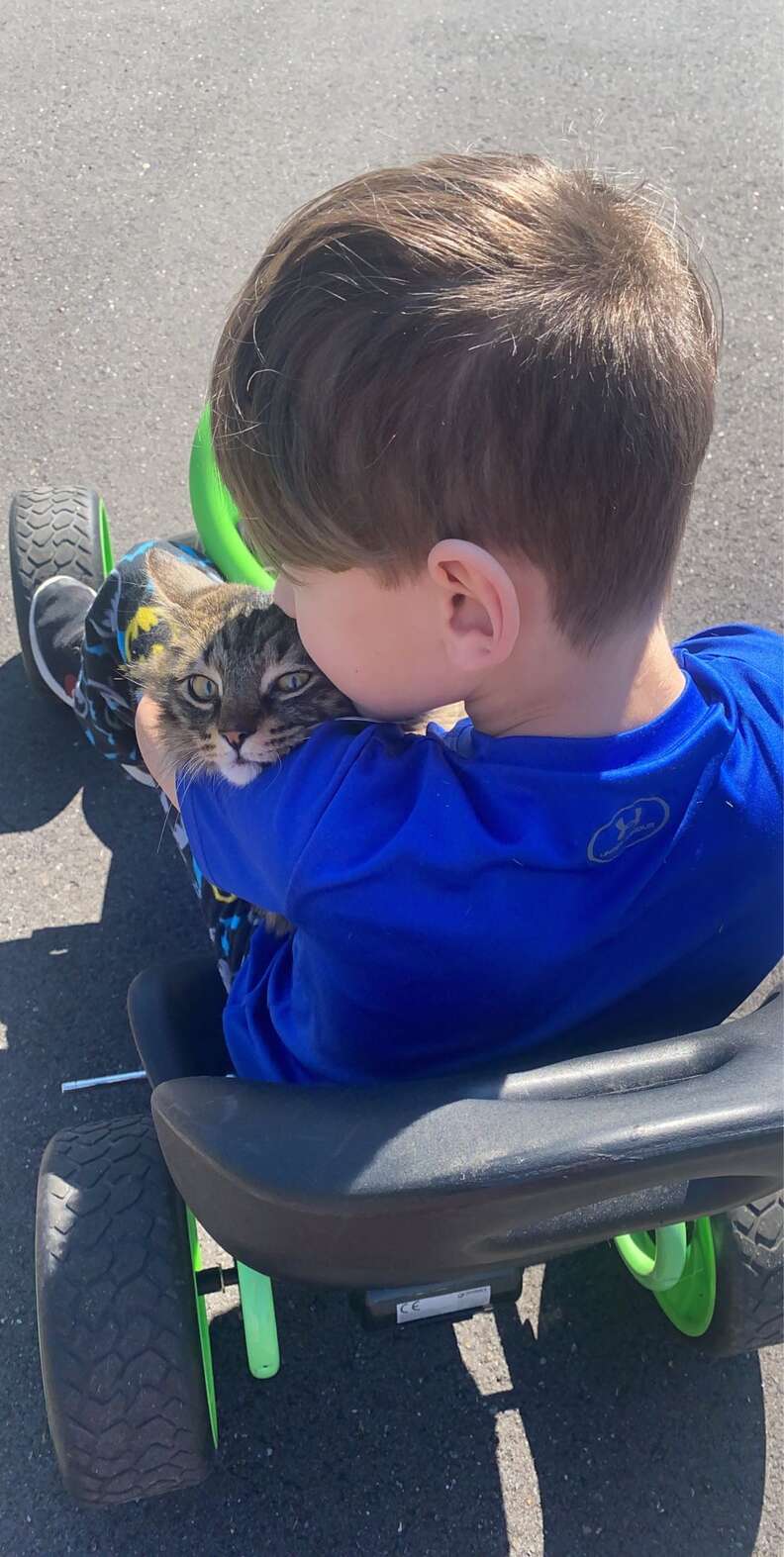 cat hugs boy