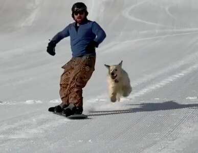 Dog runs after guy while he snowboards