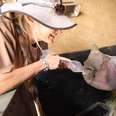 Baby Rhino Rescued From Poachers