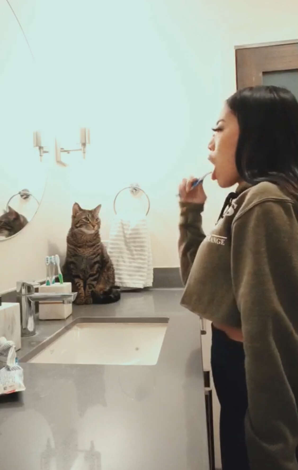 Cat watches his mom brush her teeth
