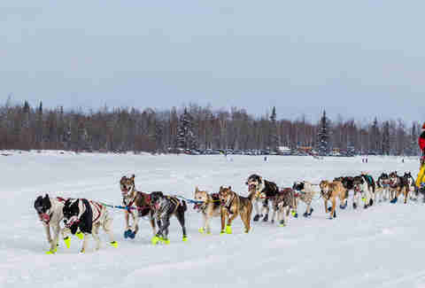 How to See the Northern Lights in Alaska on the Aurora Winter Train ...