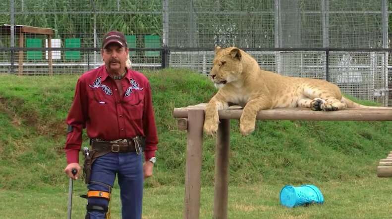 People Are Going Wild For Netflix's Newest Documentary, Tiger King