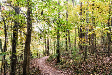 Murphey Candler Trail