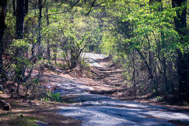 Arabia Mountain Trails