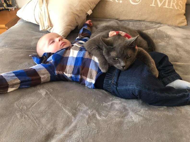 cat and baby