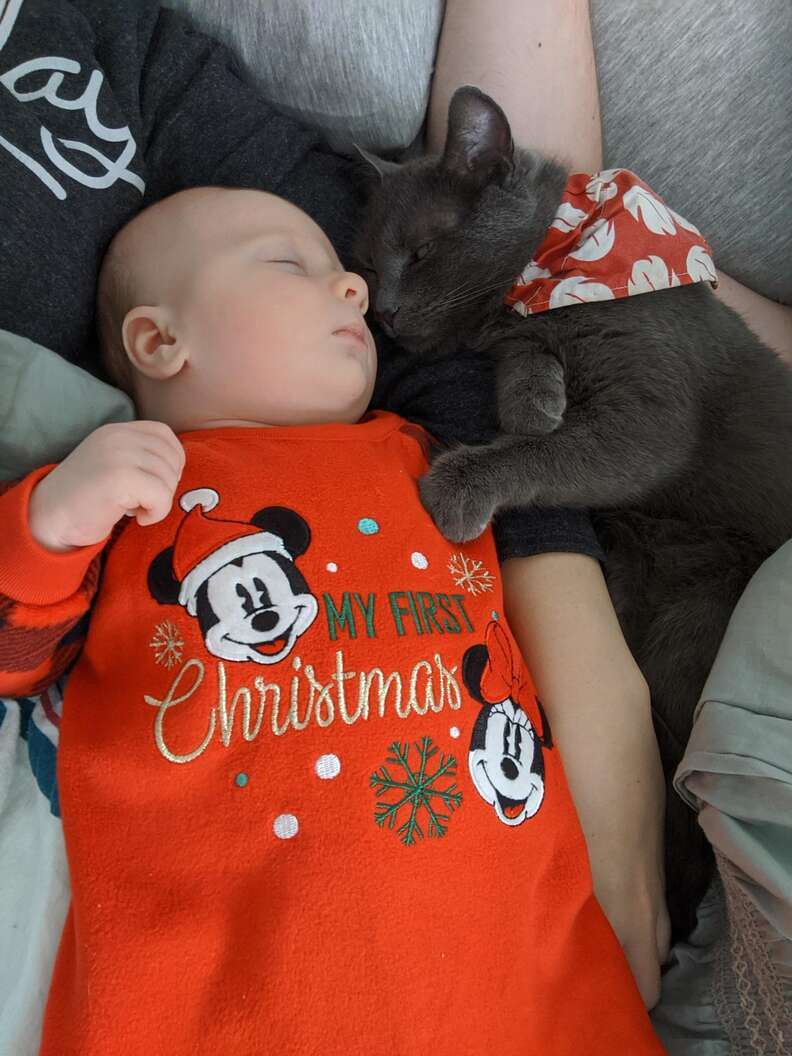 cat and baby