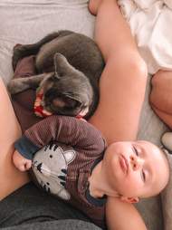 cat and baby