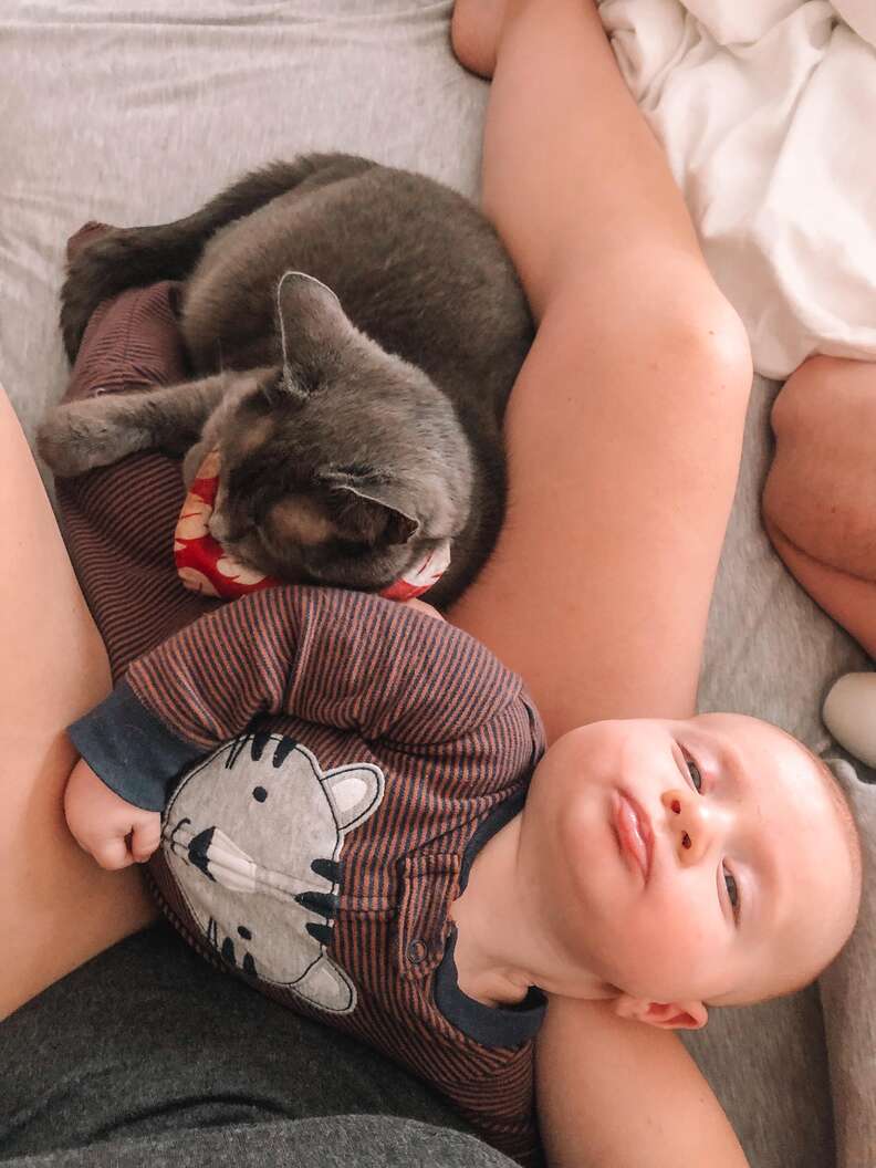 cat and baby