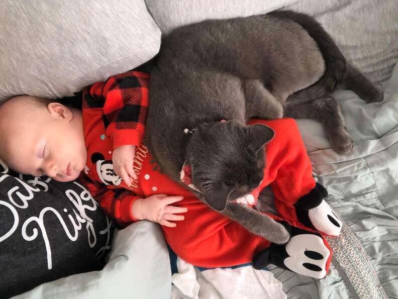 cat and baby