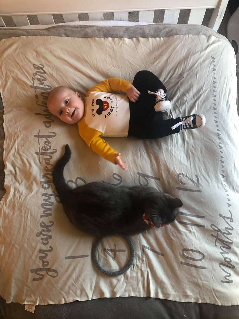 cat and baby