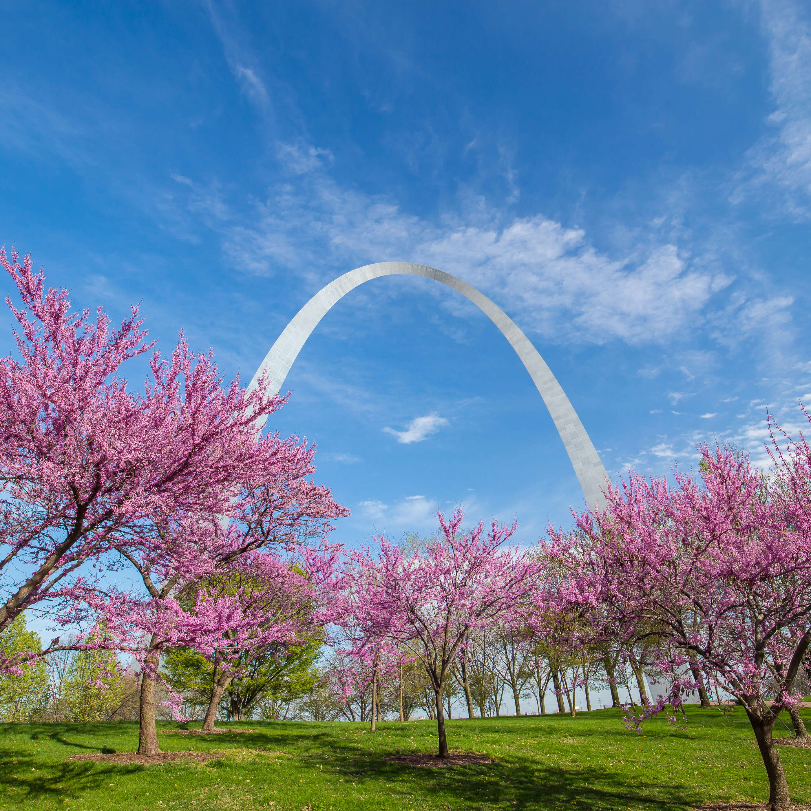 st louis