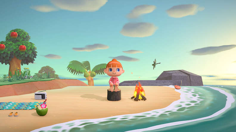 animal crossing new hoirzons