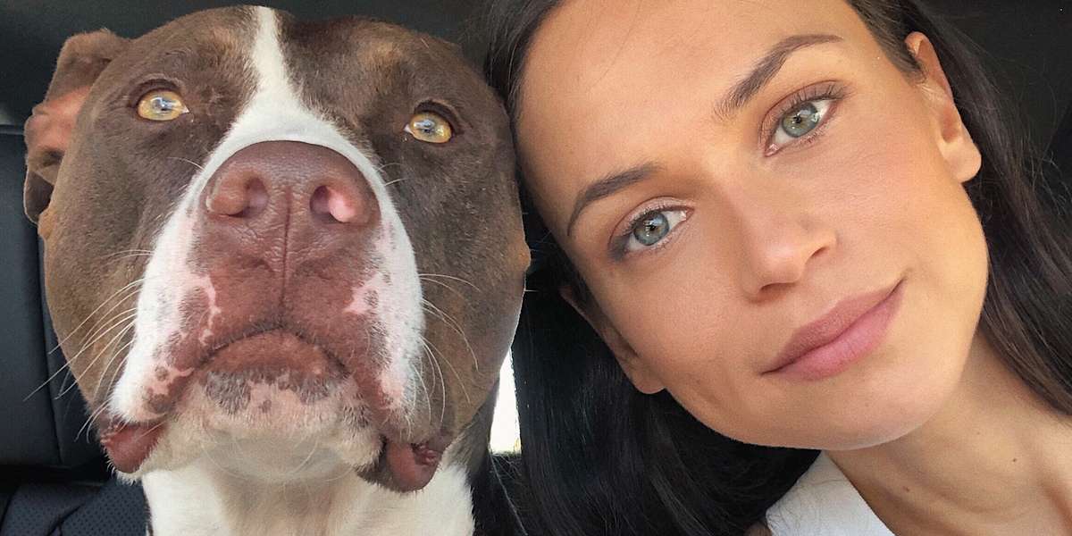 Rescue Pittie Makes His Mom Feel Safe - Videos - The Dodo