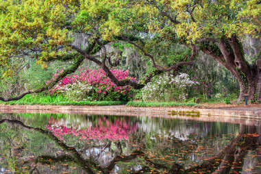 brookgreen gardens