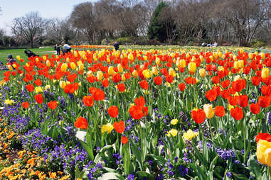 Dallas Arboretum and Botanical Garden