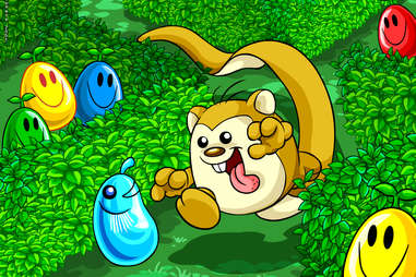 neopets meerca chase online game virtual pets neopet neopia games