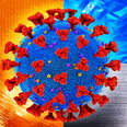 How Long Does the Novel Coronavirus Live on Surfaces?