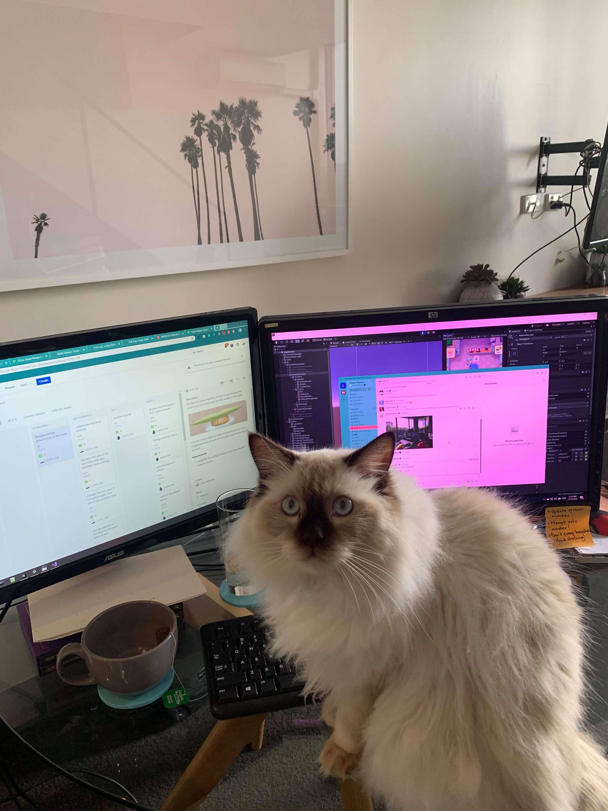 work from home cat