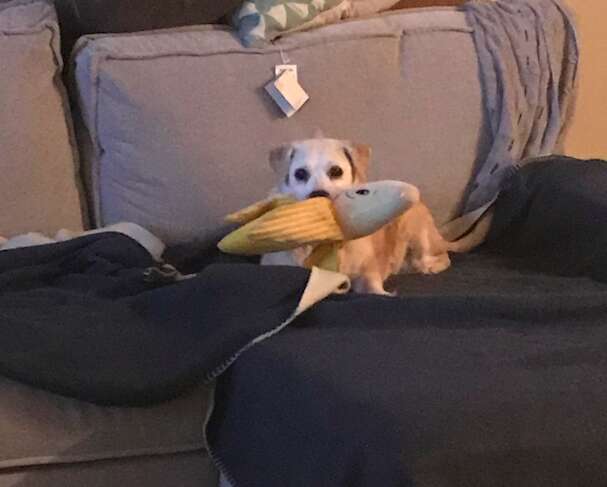 Tessa proudly shows off her banana