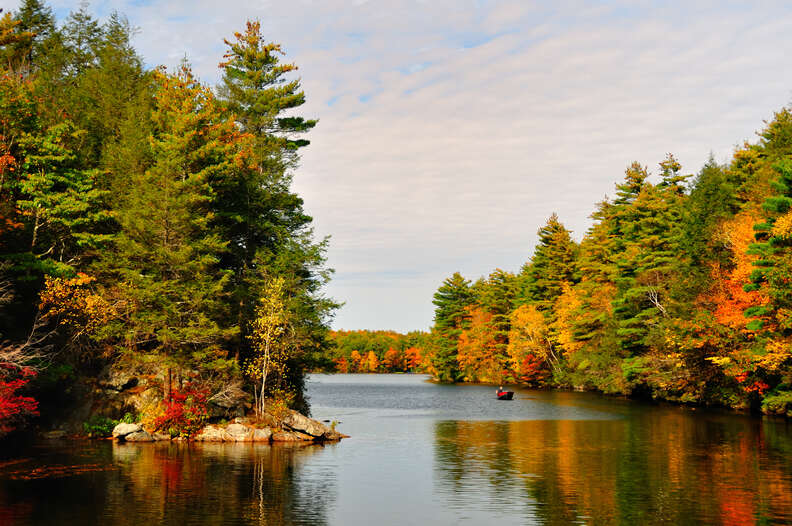 kayak on a lake surrounded by trees