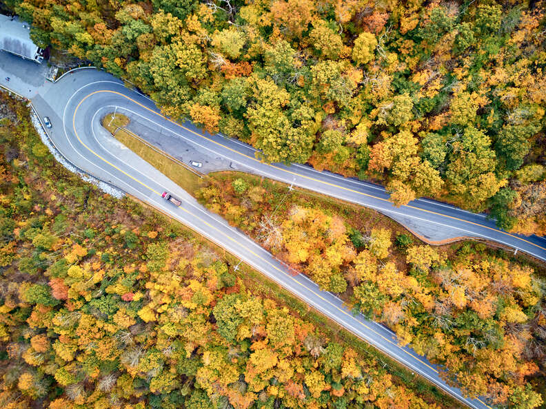 road and cars in between trees