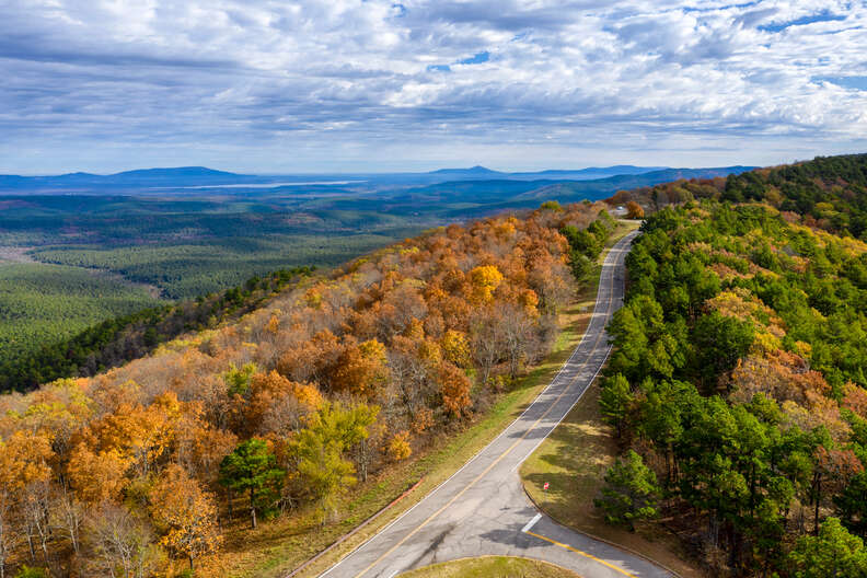 road leading through trees 