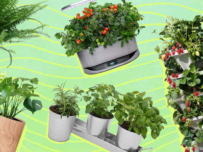 Indoor Plants How To Grow Herbs Vegetables And Make An Indoor