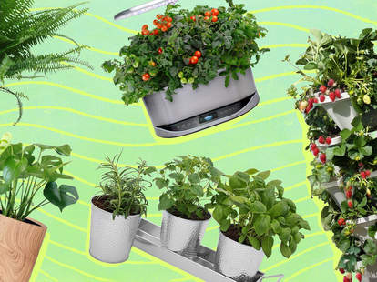 Indoor Plants How To Grow Herbs Vegetables And Make An Indoor