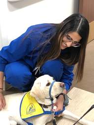 hospital dog