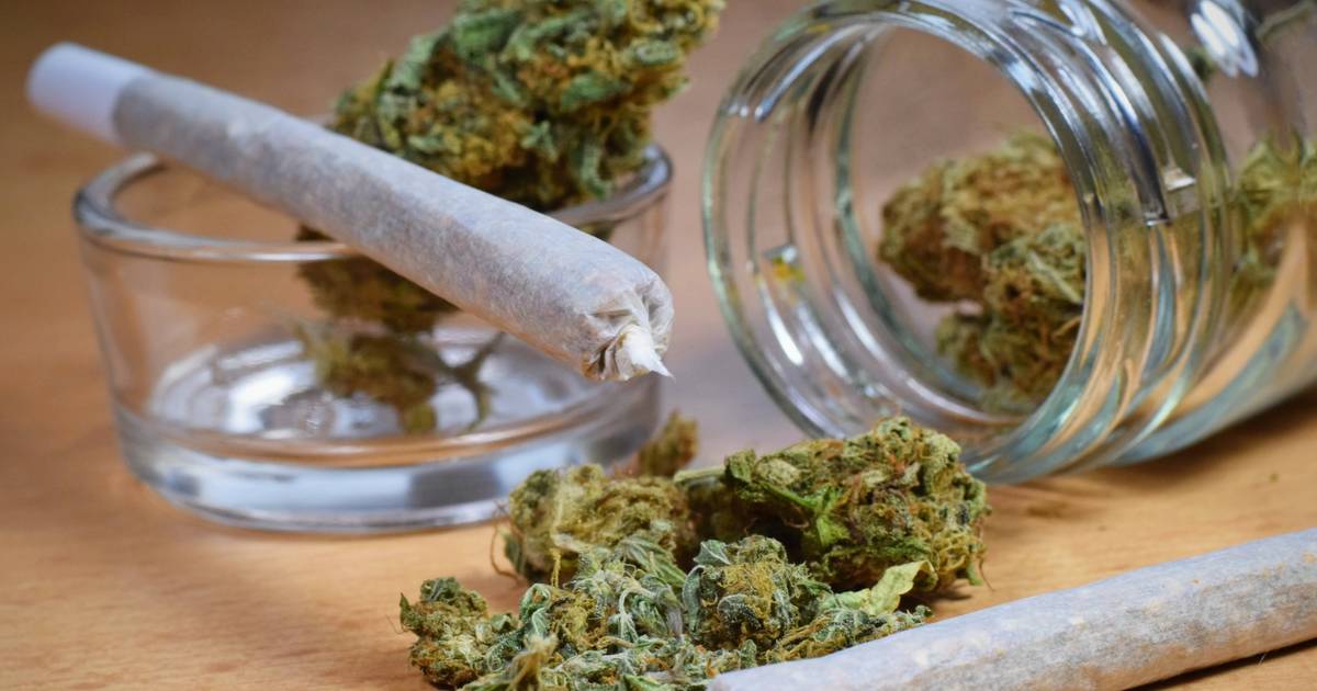 Best Weed Delivery in Las Vegas: How to Get Cannabis Delivered Now -  Thrillist