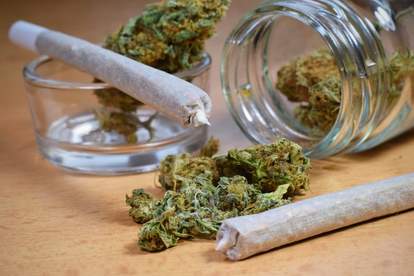 Best Weed Delivery In Las Vegas How To Get Cannabis Delivered Now