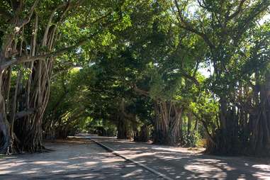 Old Cutler Road