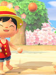 animal crossing