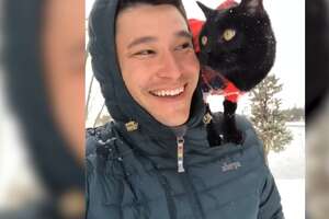 Cat And His Dad Go Backpacking Together