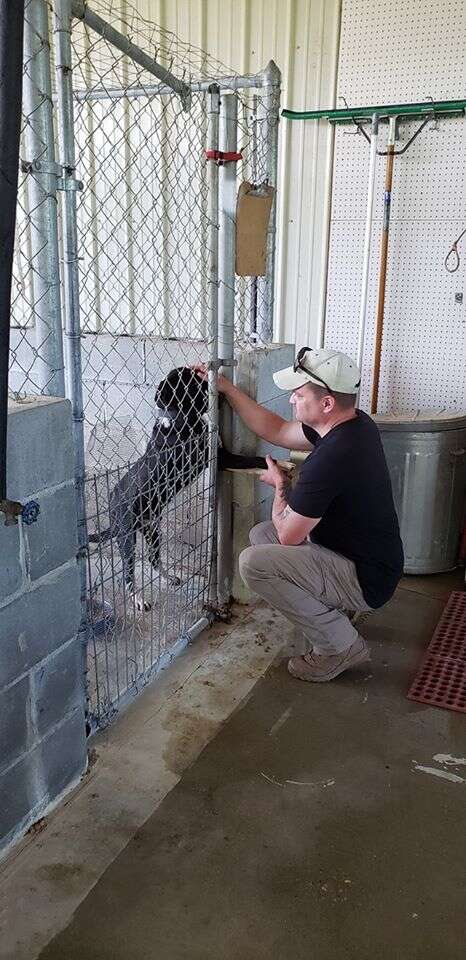 Alabama shelter dog loves humans