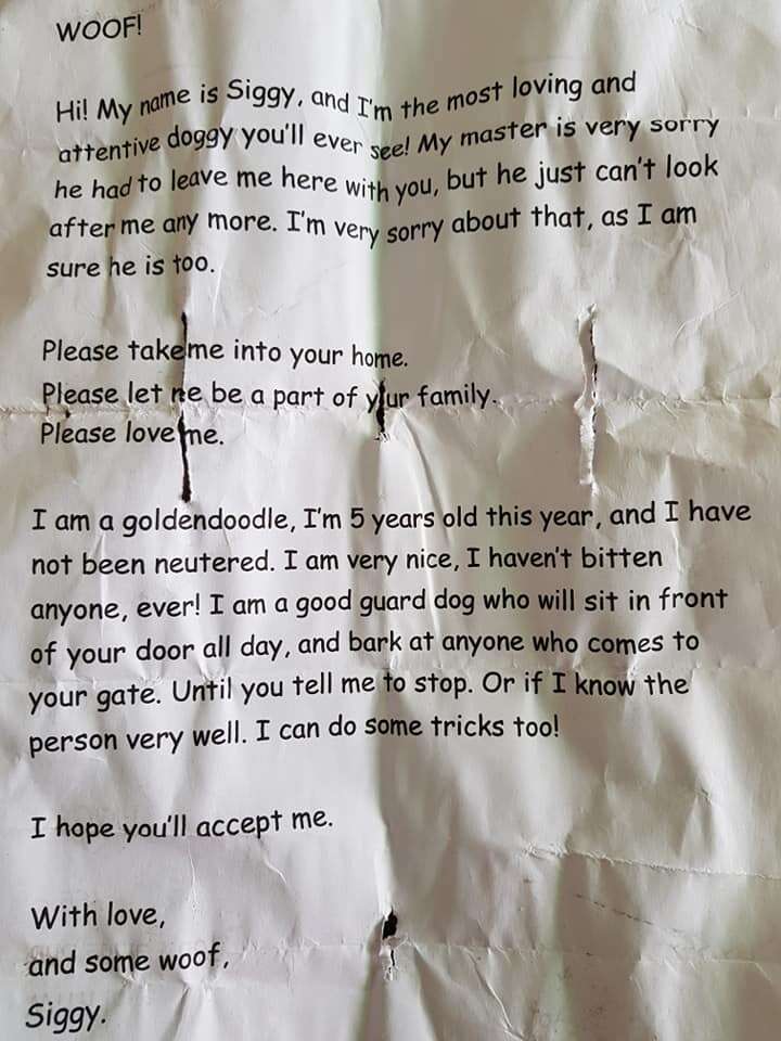 The note found on an abandoned dog